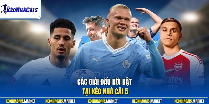 Các giải đấu nổi bật tại Kèo Nhà Cái 5