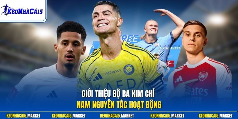 Giới thiệu bộ ba kim chỉ nam nguyên tắc hoạt động