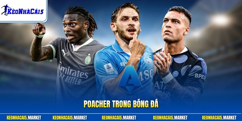 Poacher Trong Bóng Đá Là Gì - Ghi Bàn Số 1 Của Đội Hình